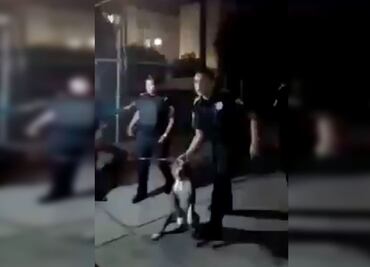 Video. Policías someten a joven con todo y pitbull