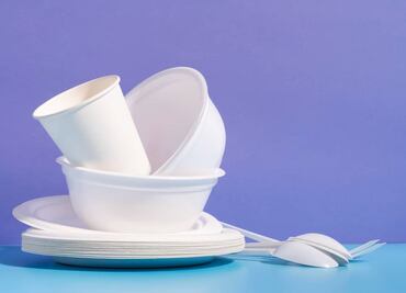 ¿Se pueden reutilizar los platos desechables?