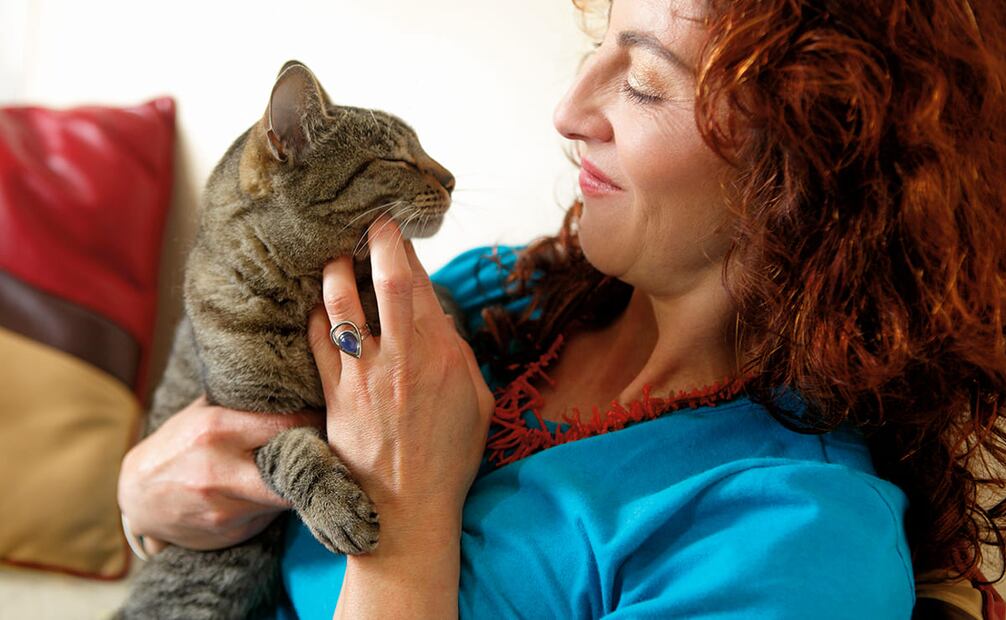 Foto: Cortesía Whiskas