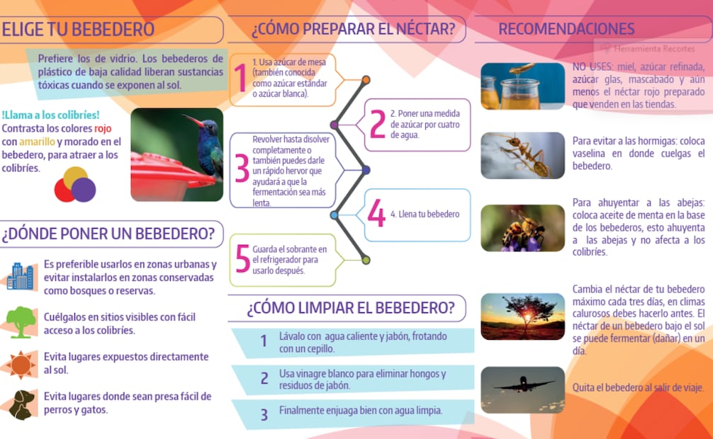 Foto: Captura de pantalla UNAM