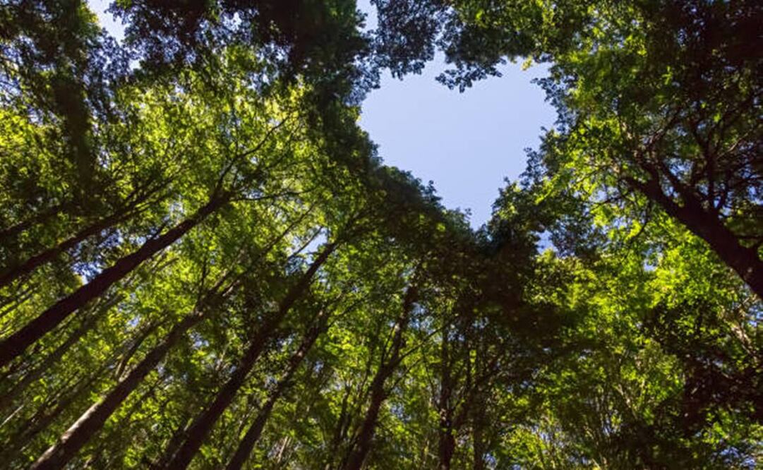 Creo en el amor amoroso, creo en la vida