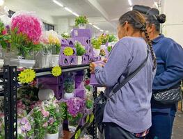 Estima empresario que 20% de negocios son de origen asiático