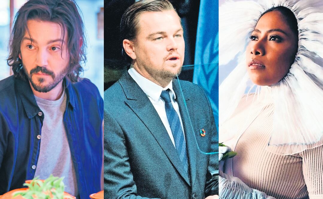 Más allá de su carrera dentro del entretenimiento, ya sea en la música, la televisión o el cine, estos artistas han aprovechado la proyección que tienen y se han volcado al activismo, apoyando diferentes tipos de causas.