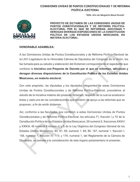 Circulan pre dictamen de reforma electoral sin cambios (06/03/2026). Foto: Especial