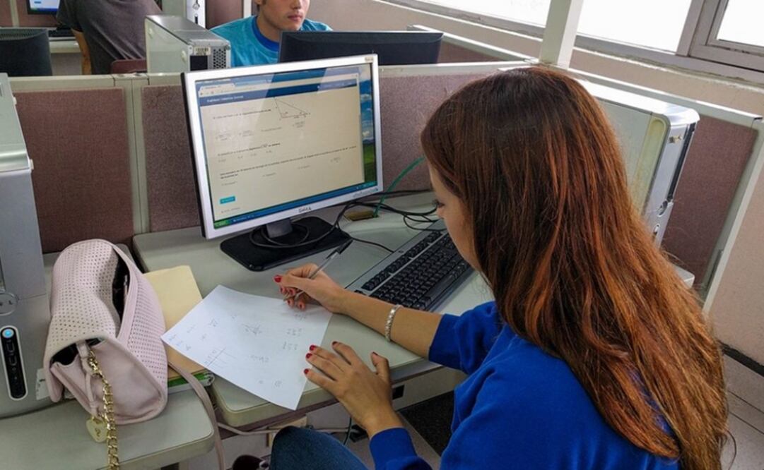En el desarrollo del sistema al que los estudiantes tendrán acceso a través de una página web. (FOTO: Conacyt)