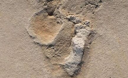 Huellas de 5.7 millones de años desafían la teoría evolutiva humana