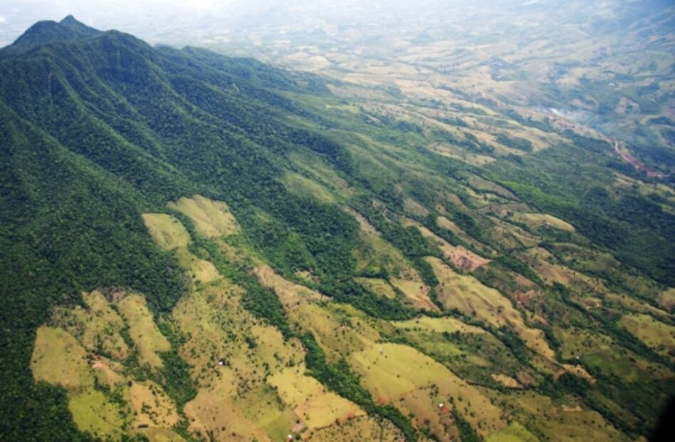 Hace 100 años se plantaron árboles en honor de periodistas