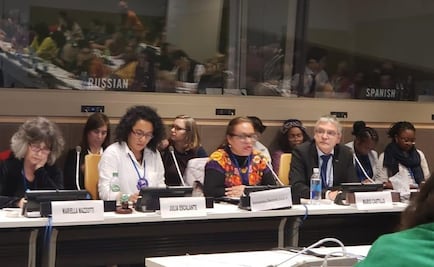 Países deben hacer valer sus políticas para defender derechos de las mujeres: CNDH