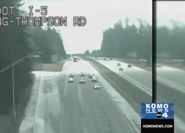 Hombre es detenido por exceso de velocidad y alega que su perro iba manejando