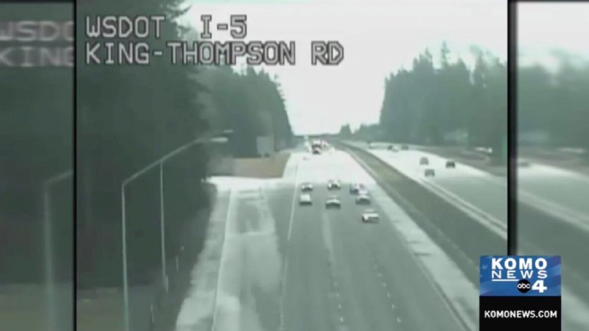 Hombre es detenido por exceso de velocidad y alega que su perro iba manejando