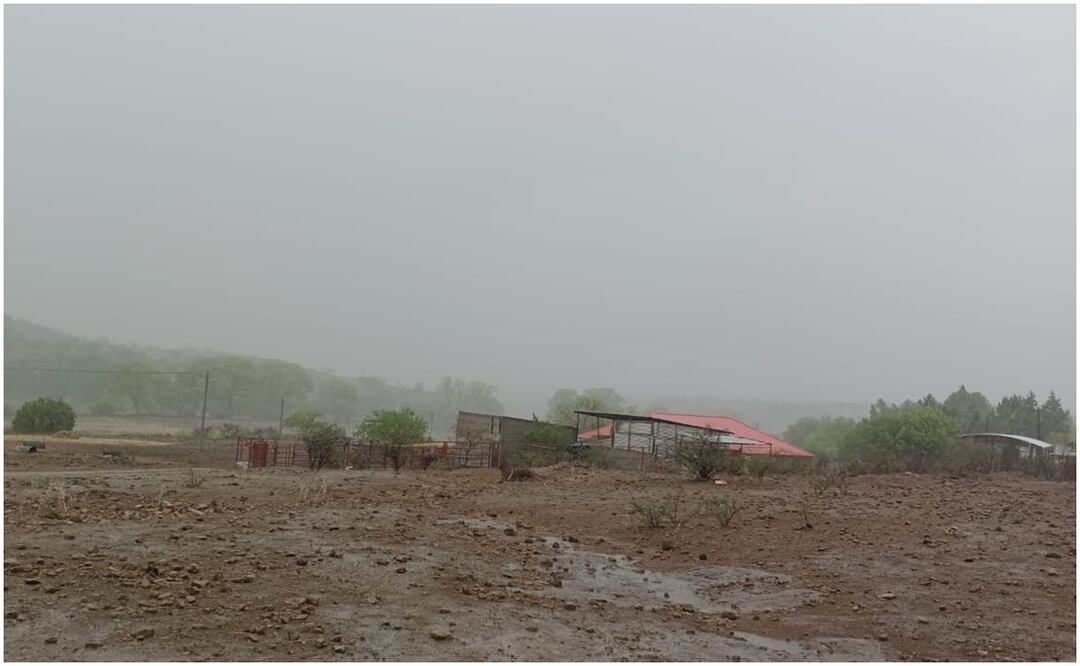 Las próximas horas Chihuahua espera de -2 a -3 grados centígrados y hasta -8 a -12°C en municipios de la Sierra Tarahumara (10/12/2024). Foto: Especial