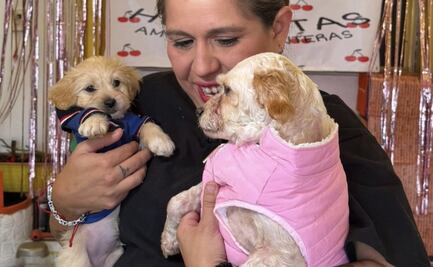 ¡Por fin en casa! Cereza y Cerecito regresan a su hogar tras heridas por explosión de pipa de gas en Puente de la Concordia
