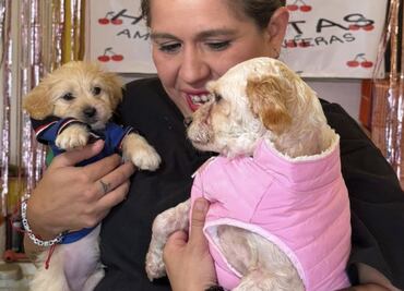 ¡Por fin en casa! Cereza y Cerecito regresan a su hogar tras heridas por explosión de pipa de gas en Puente de la Concordia