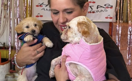 ¡Por fin en casa! Cereza y Cerecito regresan a su hogar tras heridas por explosión de pipa de gas en Puente de la Concordia