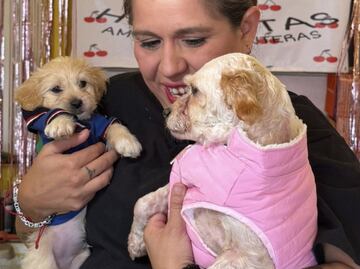 ¡Por fin en casa! Cereza y Cerecito regresan a su hogar tras heridas por explosión de pipa de gas en Puente de la Concordia