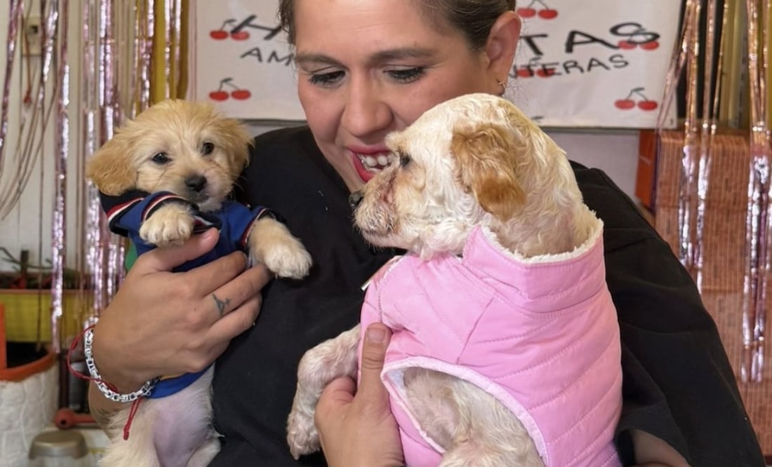 La perrita rescatada de la explosión de una pipa en Iztapalapa el pasado 10 de septiembre, Cereza, y su cachorro Cerecito, han regresado a casa. Foto: Huellitas, amor sin fronteras