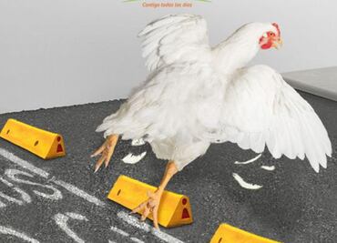 Con "Pollo a la poblana", Bachoco desata memes por publicidad sobre video viral