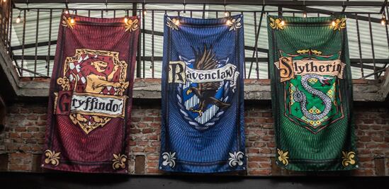 La cámara de los secretos se abrirá en CDMX para todos los fans de Harry Potter