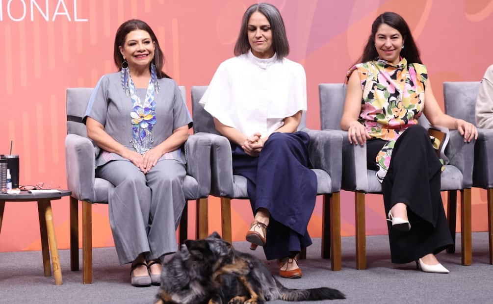 Brugada dio a conocer que, como parte de este convenio, del 12 al 15 de octubre se llevará a cabo el Mercado Internacional de Cine. | Foto: Especial.