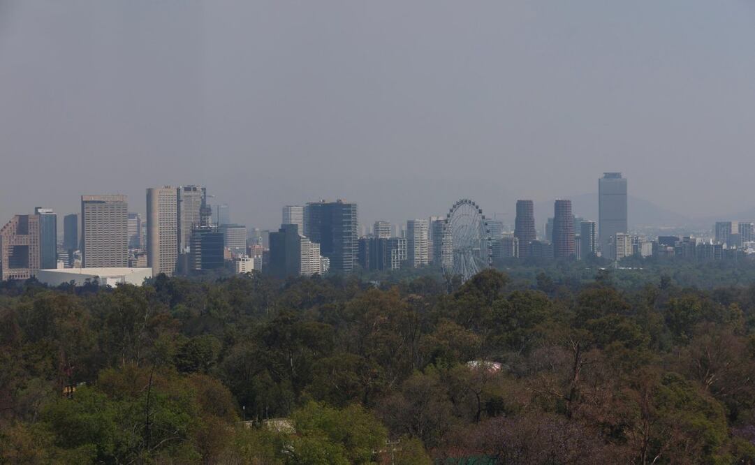 Activan contingencia ambiental. Foto: Diego Simón Sánchez / EL UNIVERSAL