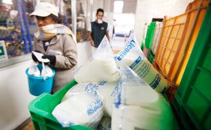 En 3 años, Liconsa abrió más de mil lecherías