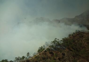 Controlan el 75% de incendio en Nuevo León