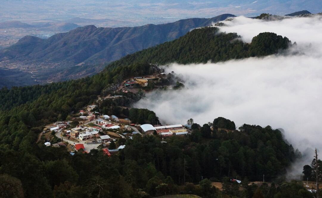 Foto: Archivo/ EL UNIVERSAL                                   