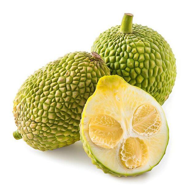 Té de hoja de guanábana. Fuente: Freepik.