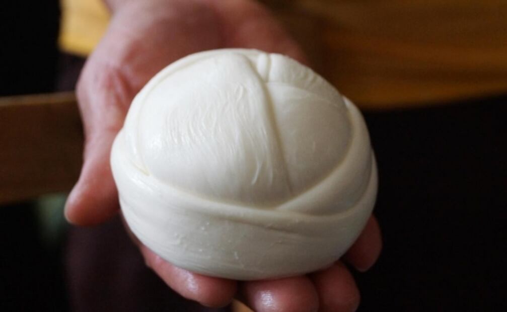 “Esos quesos son como de plástico”; visitamos la cuna del quesillo en Oaxaca