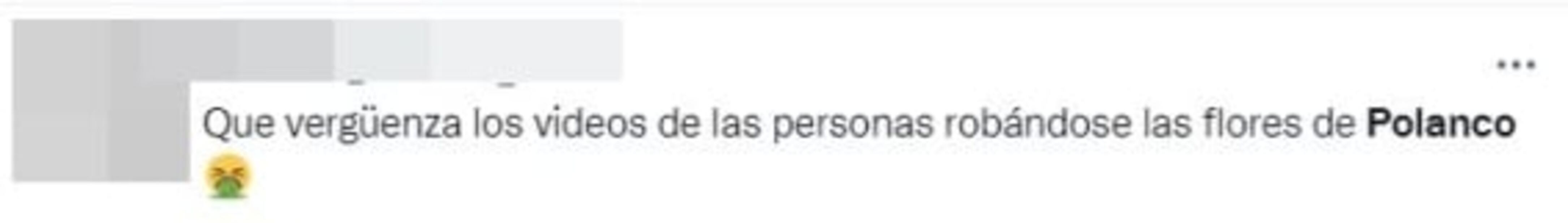 Critican a asistentes por llevarse flores de festival en Polanco