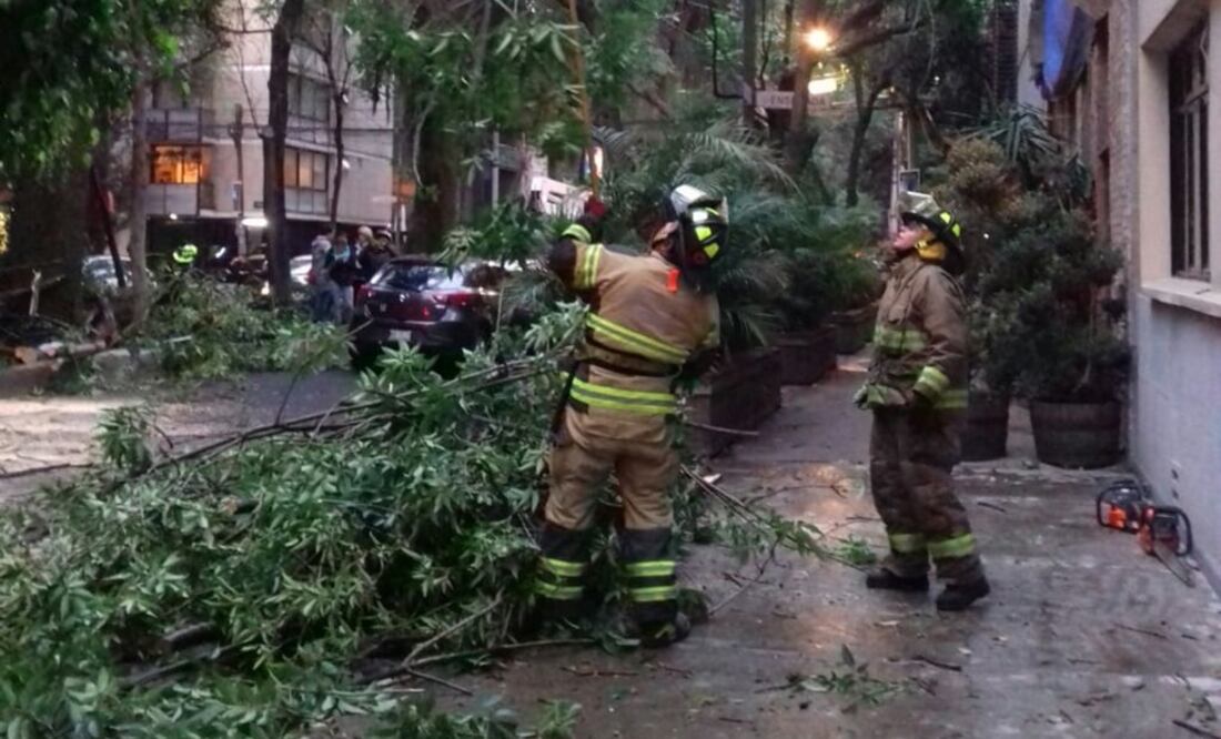 (Foto: Valente Rosas/El Universal)