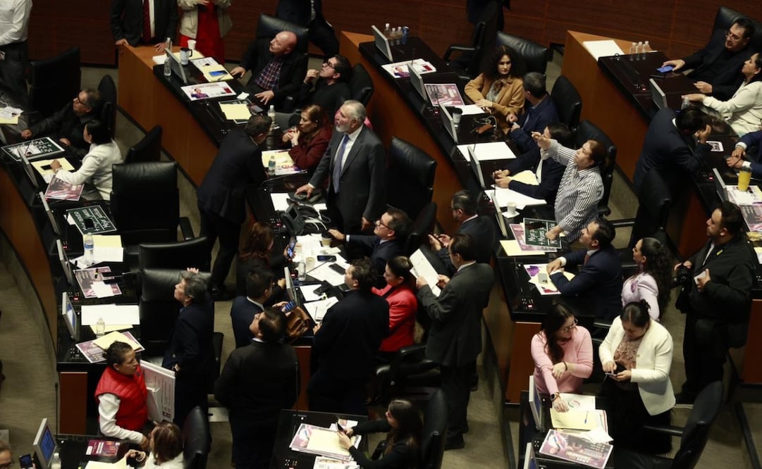 Sesión extraordinaria del Senado. Foto: Diego Simón/ EL UNIVERSAL