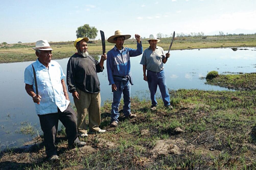 El amparo obtenido por los campesinos no para las obras que se tiene previsto construir, pero impide se les quiten sus tierras (EMILIO FERNÁNDEZ. EL UNIVERSAL)