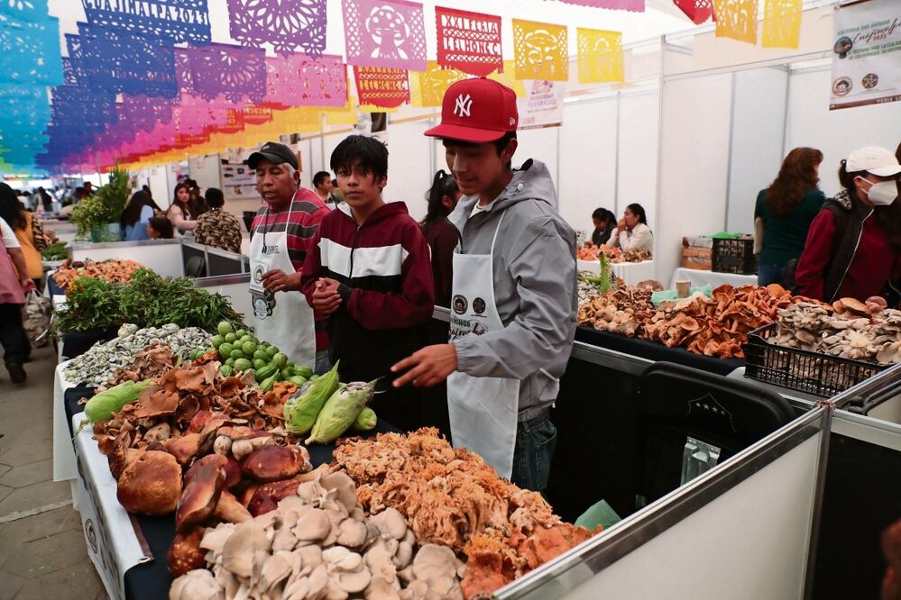 Los productores ofrecen diversos tipos de hongos silvestres como pancita, falda de señorita, entre otros. Tampoco puede faltar el área de comida para degustar desde pozole de hongos, algunas setas, hasta una quesadilla. Foto: Juan Boites | El Universal