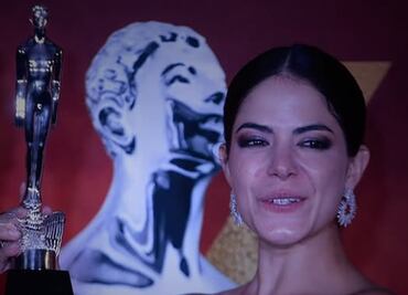 Premio Ariel 2025: 10 datos clave que debes saber