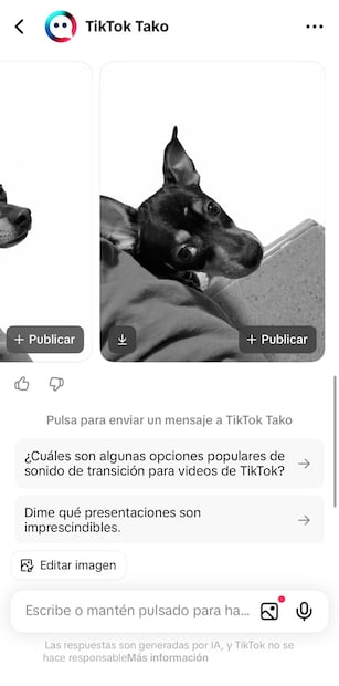 TikTok Tako. Foto: Captura de pantalla