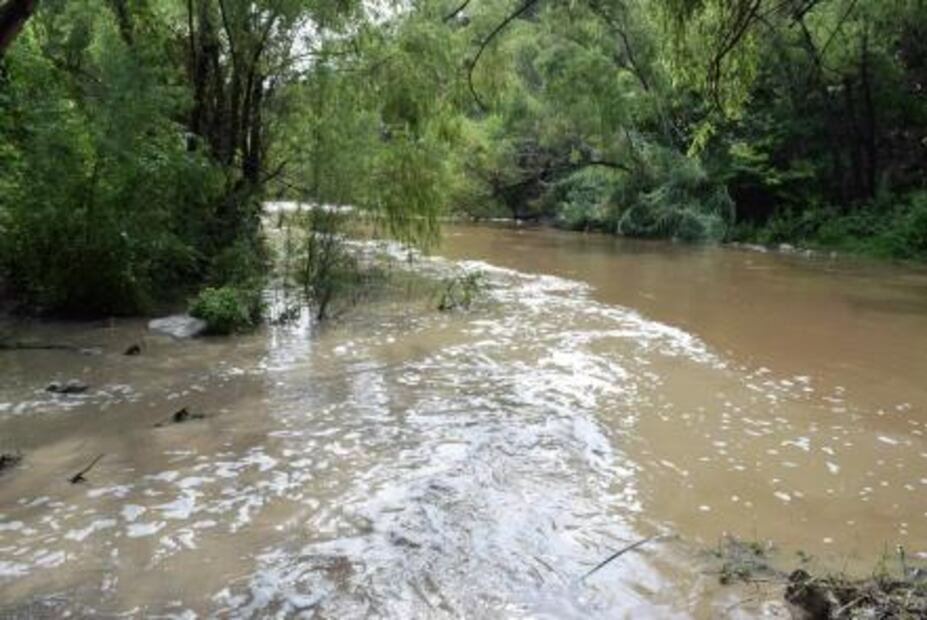 Peligro ambiental en río Sabinalito de Chiapas une a pobladores