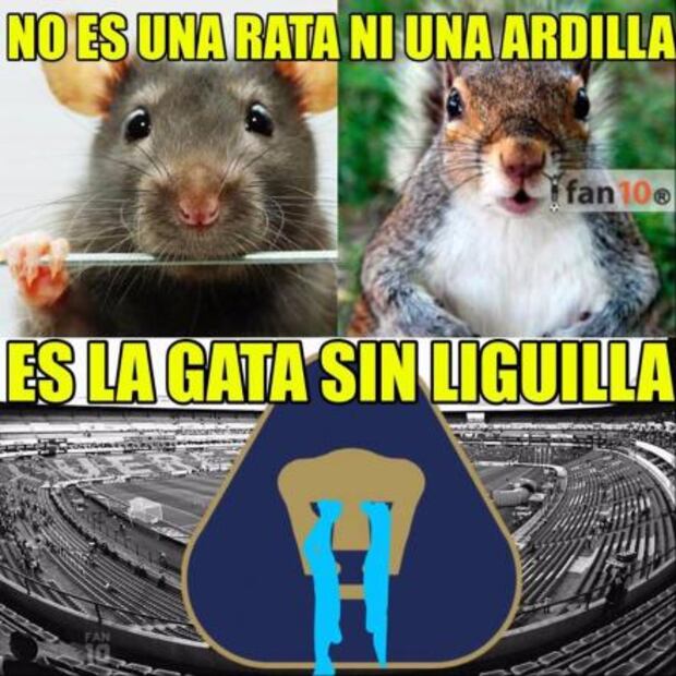 Los memes de la jornada 12