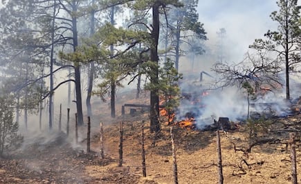 FOTOS: Brigadistas combaten 17 incendios forestales  en Chihuahua; activan plan DN- III
