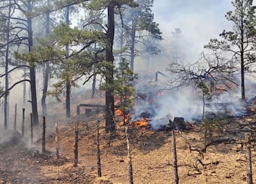FOTOS: Brigadistas combaten 17 incendios forestales en Chihuahua; activan plan DN- III