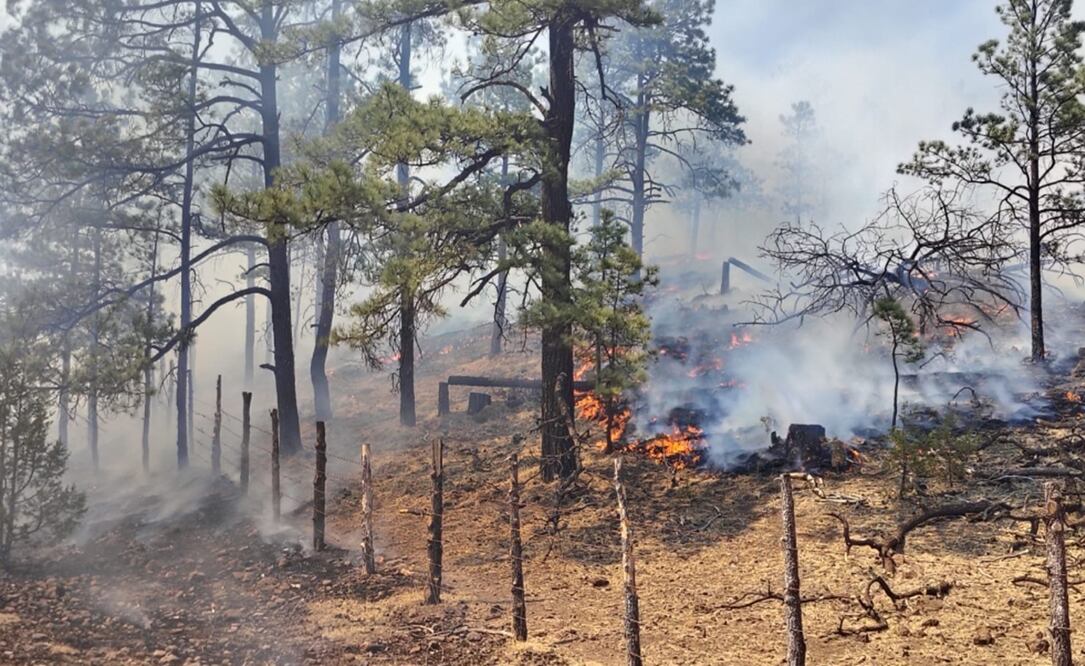 Incendios forestales continúan afectando a Chihuahua; solicitan aplicar el plan DN- III. Foto: especial