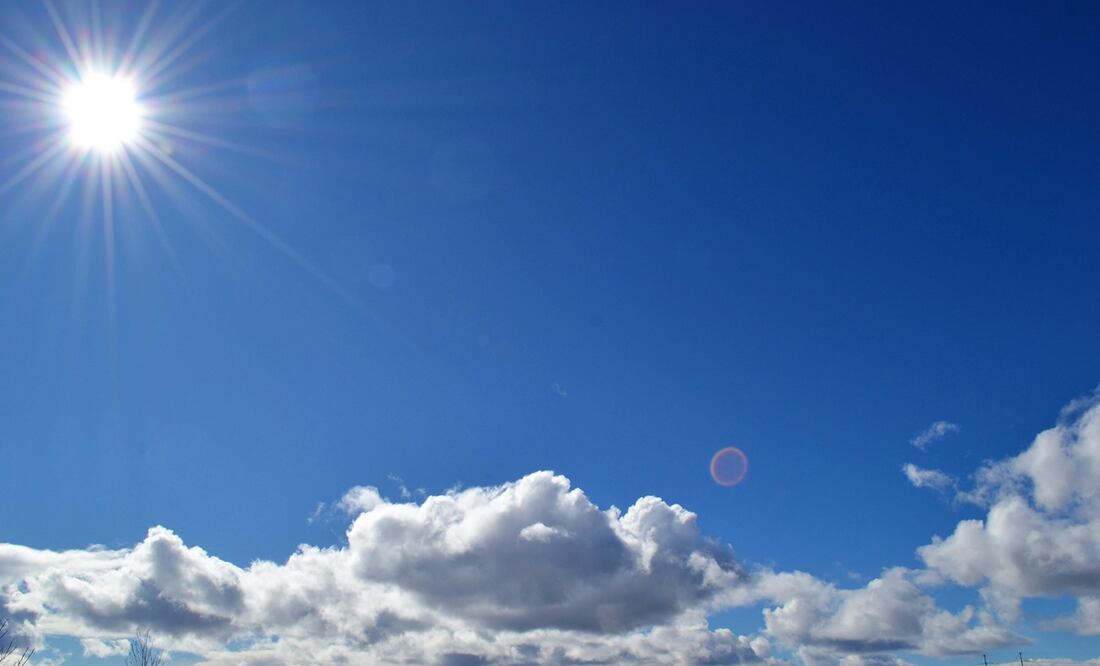 ¿Qué tomar para la insolación? Foto: Pexels