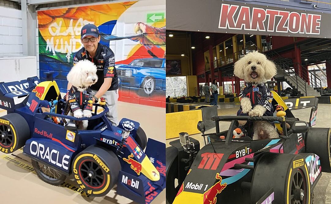 Fabbio fue bautizado como el "piloto canino" de la Fórmula 1. Foto: X @RayonJorge