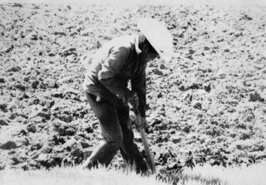 Las Cabañuelas, relación hombre-naturaleza que se está perdiendo