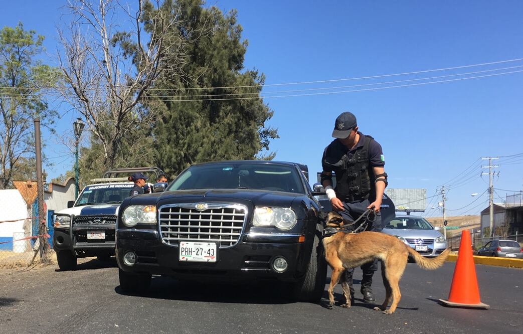 Foto: Carlos Arrieta