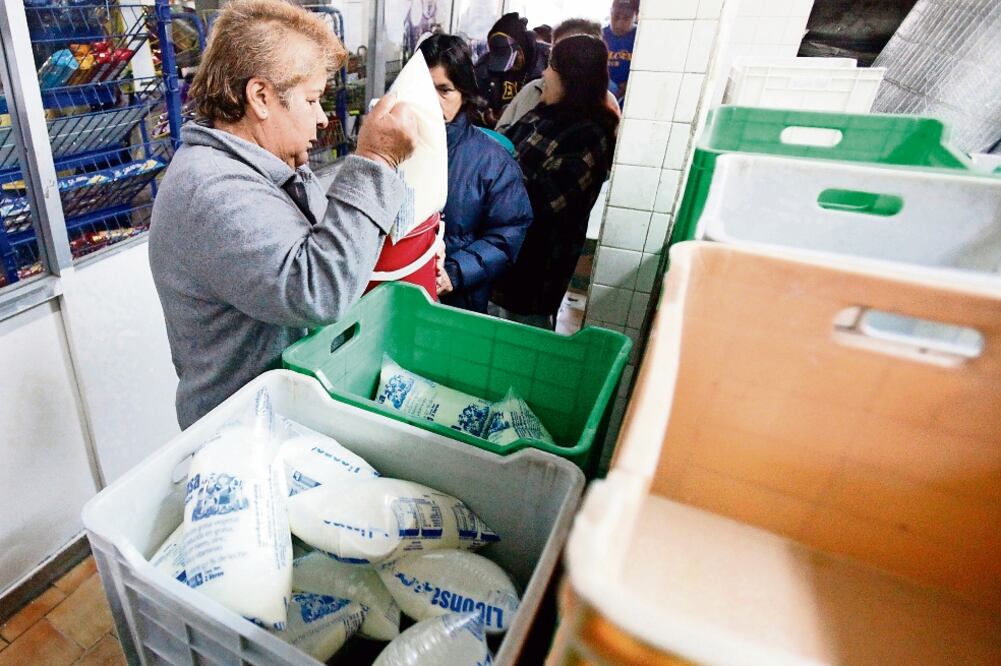 En la última década fue necesario realizar importaciones de leche en polvo por aproximadamente 20% del total del consumo interno, de acuerdo con información de Liconsa (ARCHIVO EL UNIVERSAL)