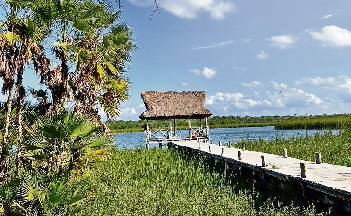 Ciudad Aurum interes que dividen a ejidatarios | El Universal