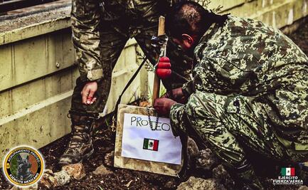 "Proteo, te esperamos en casa": restos de perro rescatista regresan este jueves a México