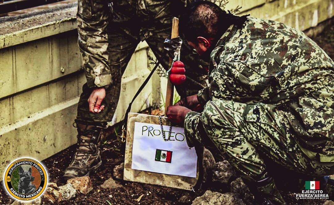 Foto: Twitter @SEDENAmx