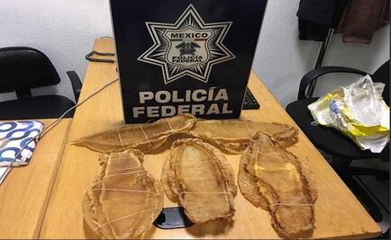 Chino es vinculado a proceso tras ser detenido con Totoaba